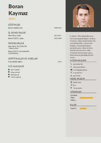 cv indir